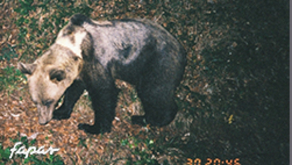 30/06/2000. Primera fotografía de Encarna 