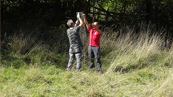 Octubre-2017. Plantamos y protegemos para garantizar la supervivencia de los árboles