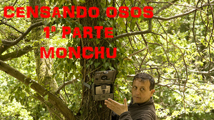 CENSANDO OSOS:  1ª parte Monchu