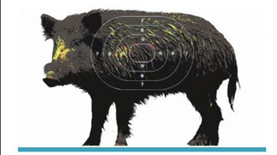 La caza del jabalí a debate