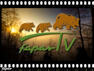 Fapas_tv_general